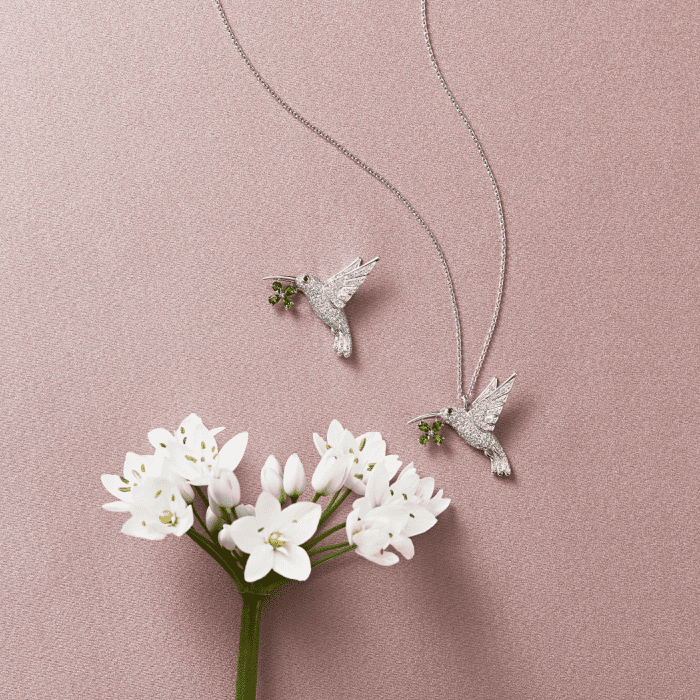 NADIAハチドリ_トリミング